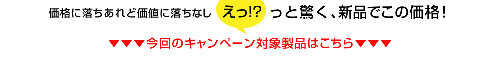 あっと驚くこのお値段