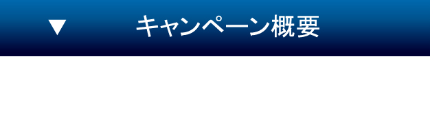 キャンペーン概要