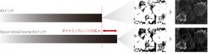黒を究めると、色が極まる。新「Epson UltraChrome K3インク」搭載