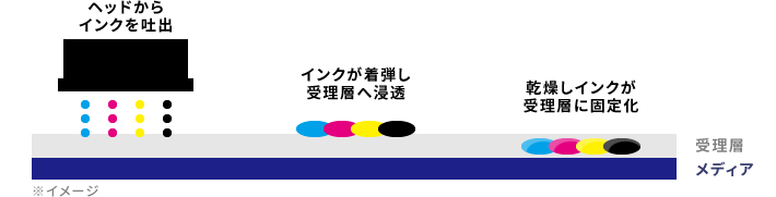 水性・溶剤の硬化の仕組み