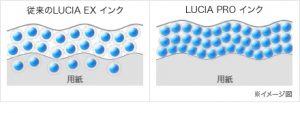 LUCIA EX