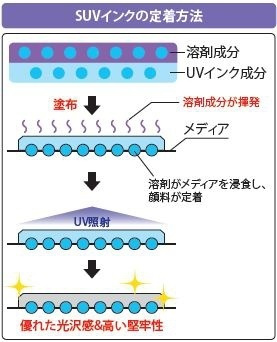 SUVインクの定着方法のイラスト