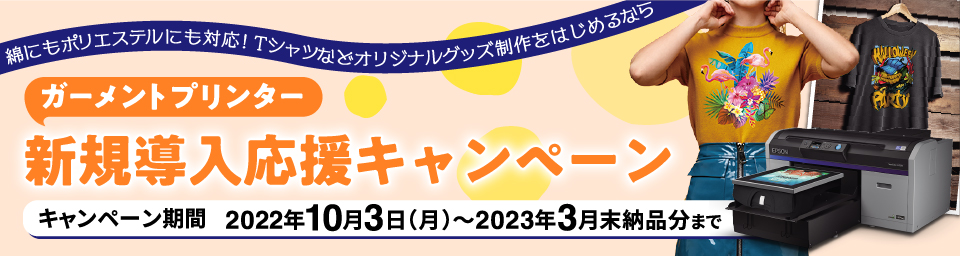 メーカー実施キャンペーン例