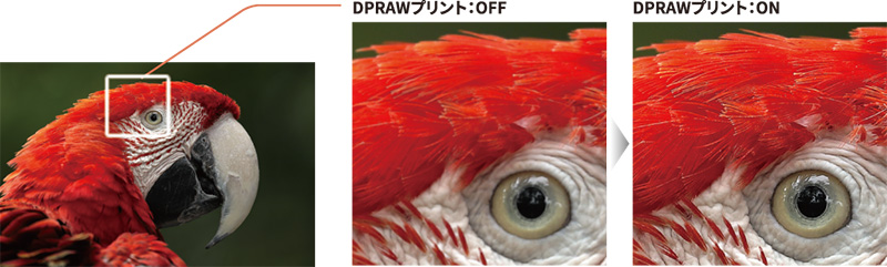 左：DPRAWプリントOFF 右：DPRAWプリントON