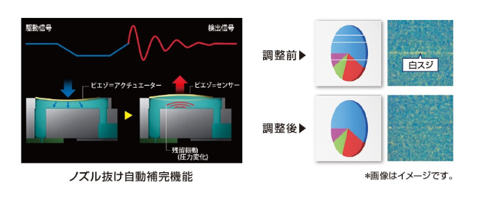 ノズル抜け補正