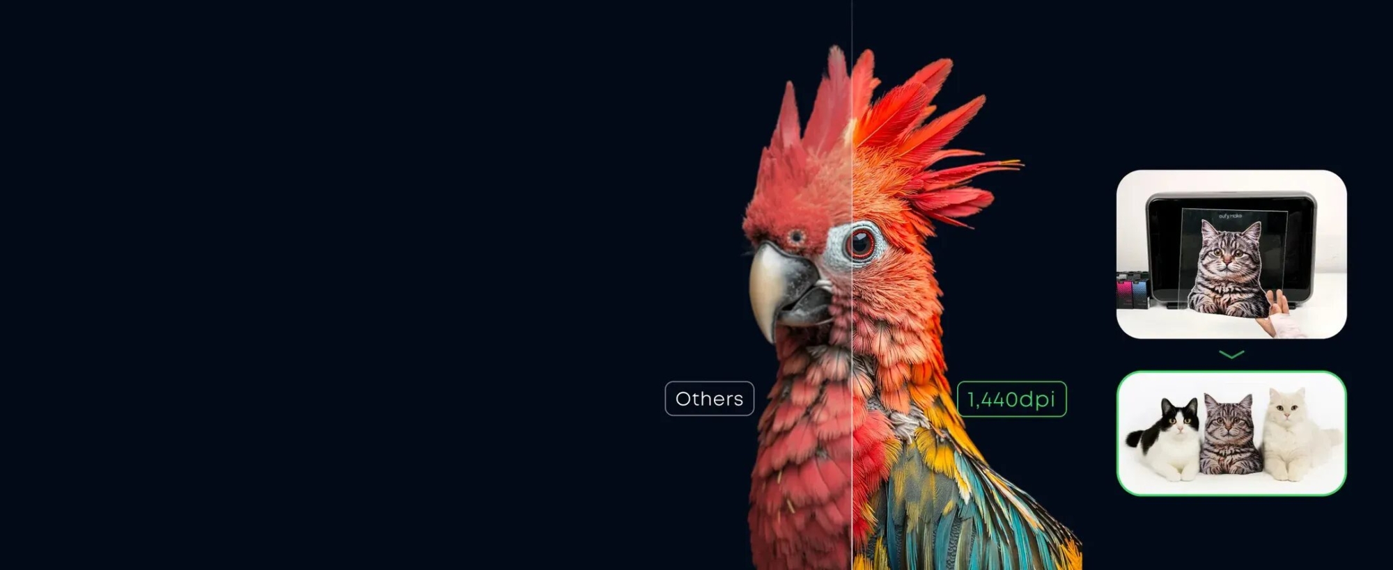 リアルで鮮明なプリント